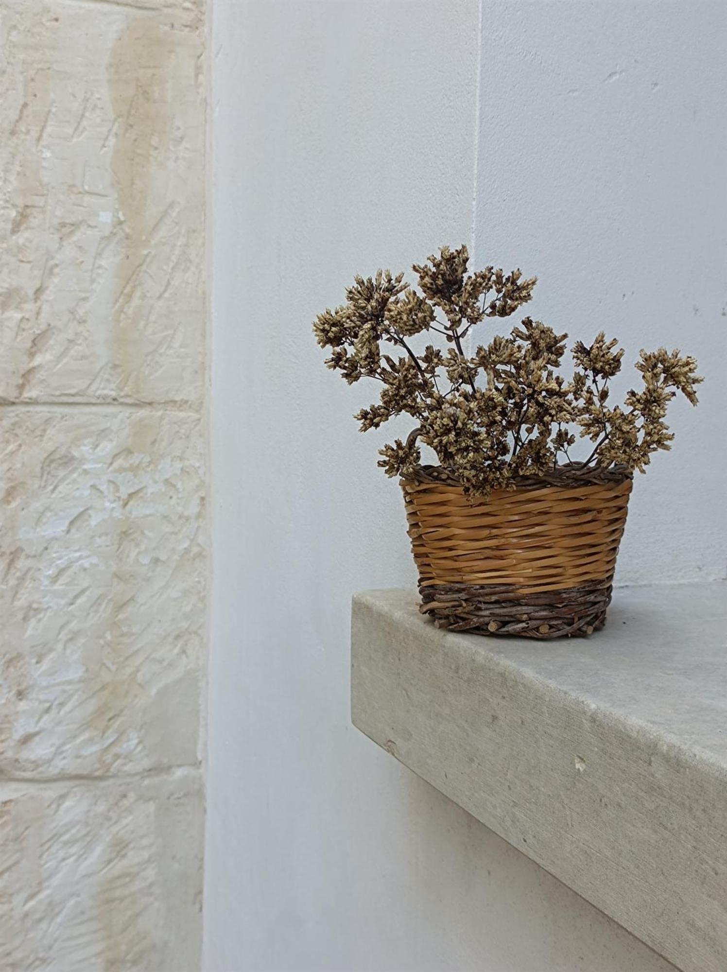 Camera Origano In Salento มาร์ตาโน ภายนอก รูปภาพ